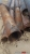 Продам трубу Б/У НЕФТЬ 114*5-6= 200 тонн 159*12= 200 тонн 168*5-8=200 тонн 273*7-8= 200 тонн 219*5-8=900 тонн 325*12= 900 тонн 530*8 = 1000 тонн На